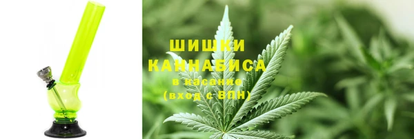 гашик Белоозёрский
