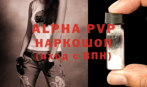 гашик Белоозёрский