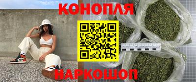 сатива Бийск