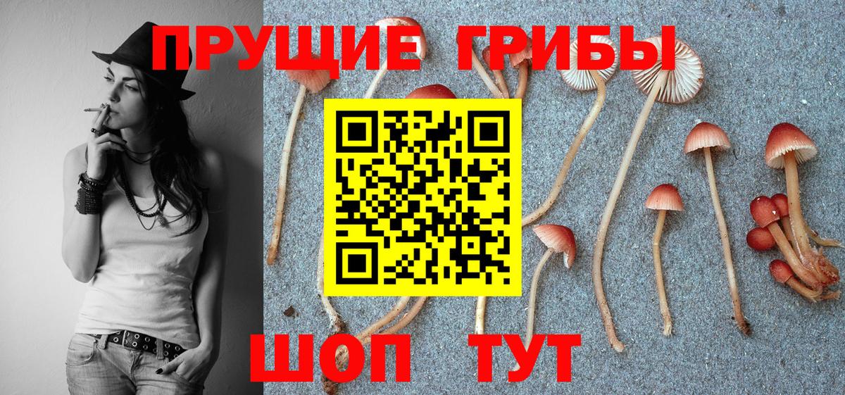 Борзя  где можно купить   Вход с VPN  Галлюциногенные грибы MAGIC MUSHROOMS  Псилоцибиновые грибы Cubensis 