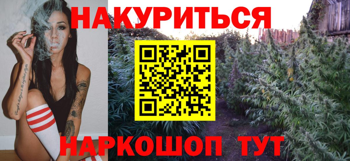 Шишки марихуана планчик  Вход с VPN  Шишки марихуана White Widow  Конопля AK-47  Борзя 
